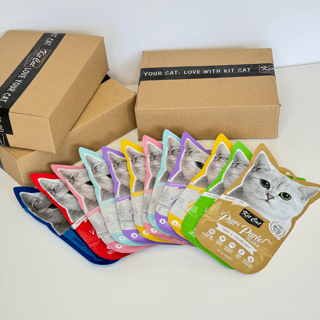 Pack PurrPuree (12 uds) Imagen principal del producto