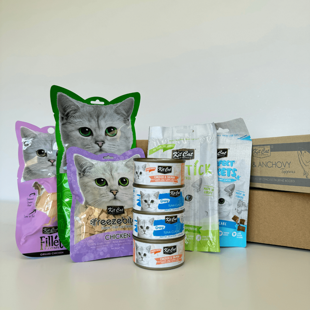 Pack Degustaci¨®n (9 uds) Imagen principal del producto