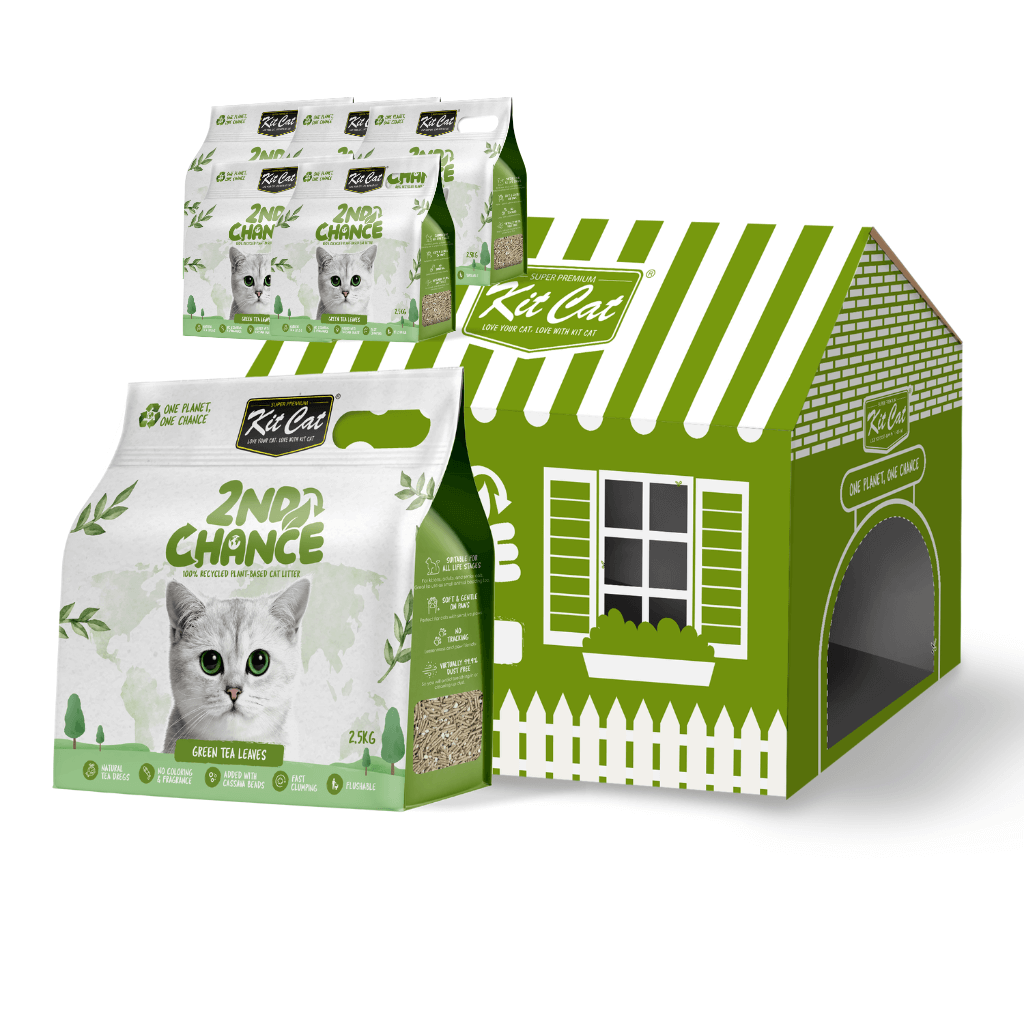 Arena 2nd Chance - Hojas de Té Verde, Guisante y Yuca