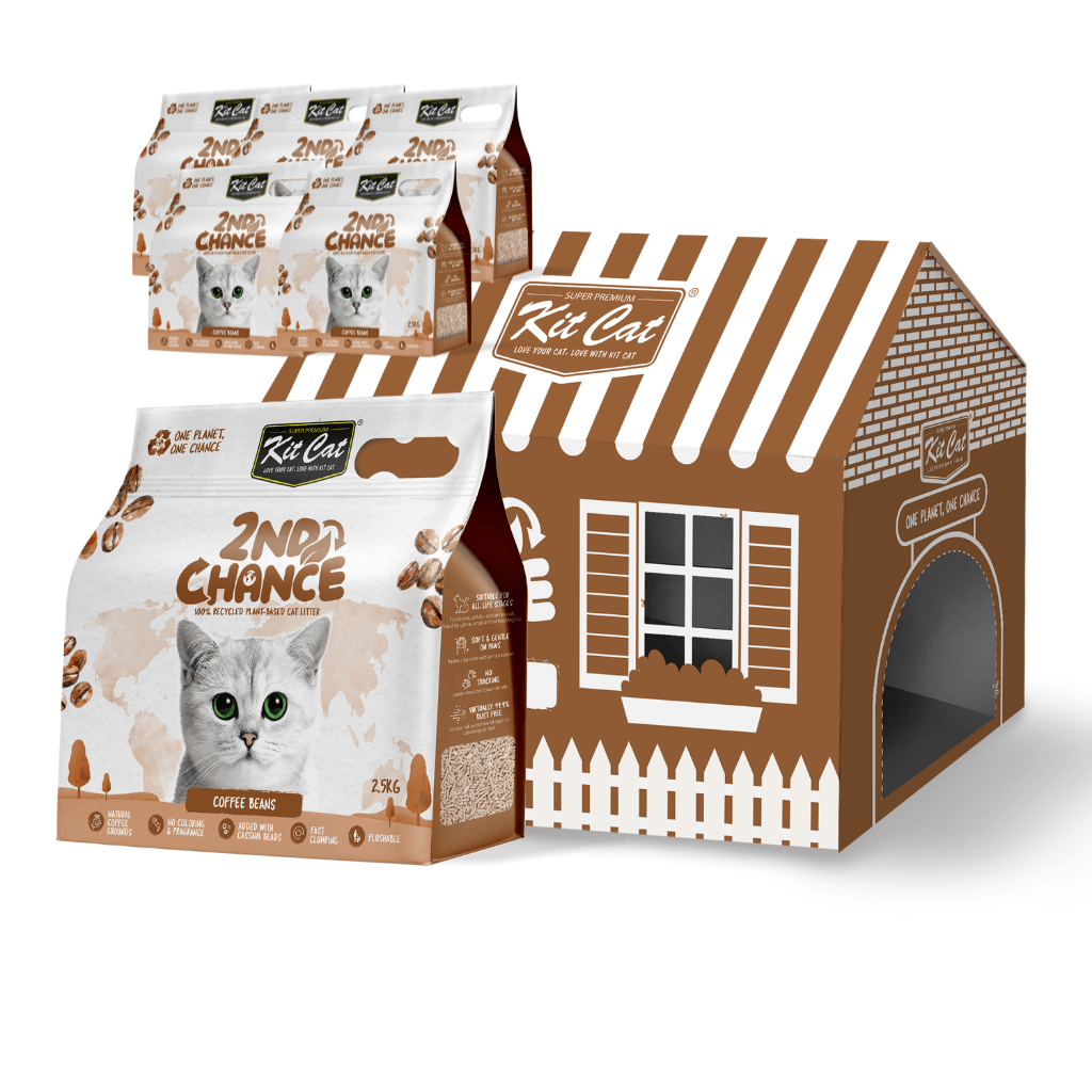 Arena 2nd Chance - Semillas de Café , Guisante y Yuca