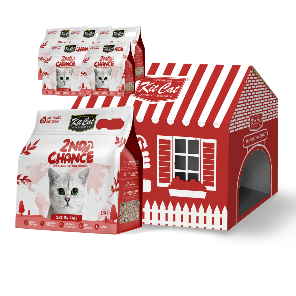 Arena 2nd Chance - Hojas de T¨¦ Negro, Guisante y Yuca