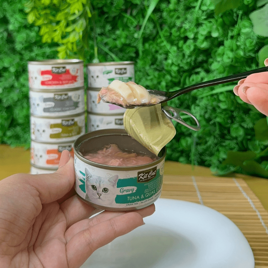 Atún con Huevo de Codorniz 70g - Comida húmeda en Salsa Secondary image