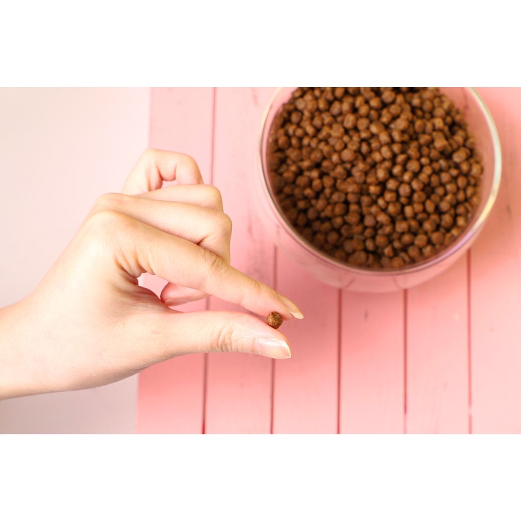 Atún y Salmón No Grain - Pienso para gatos 1KG - Soporte Piel y Pelaje