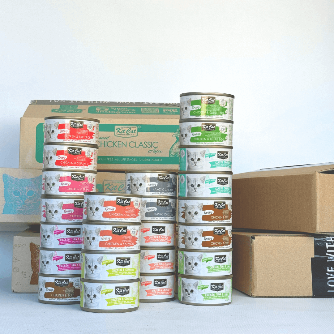 Pack de Comida H¨²meda - Pollo (24 uds)