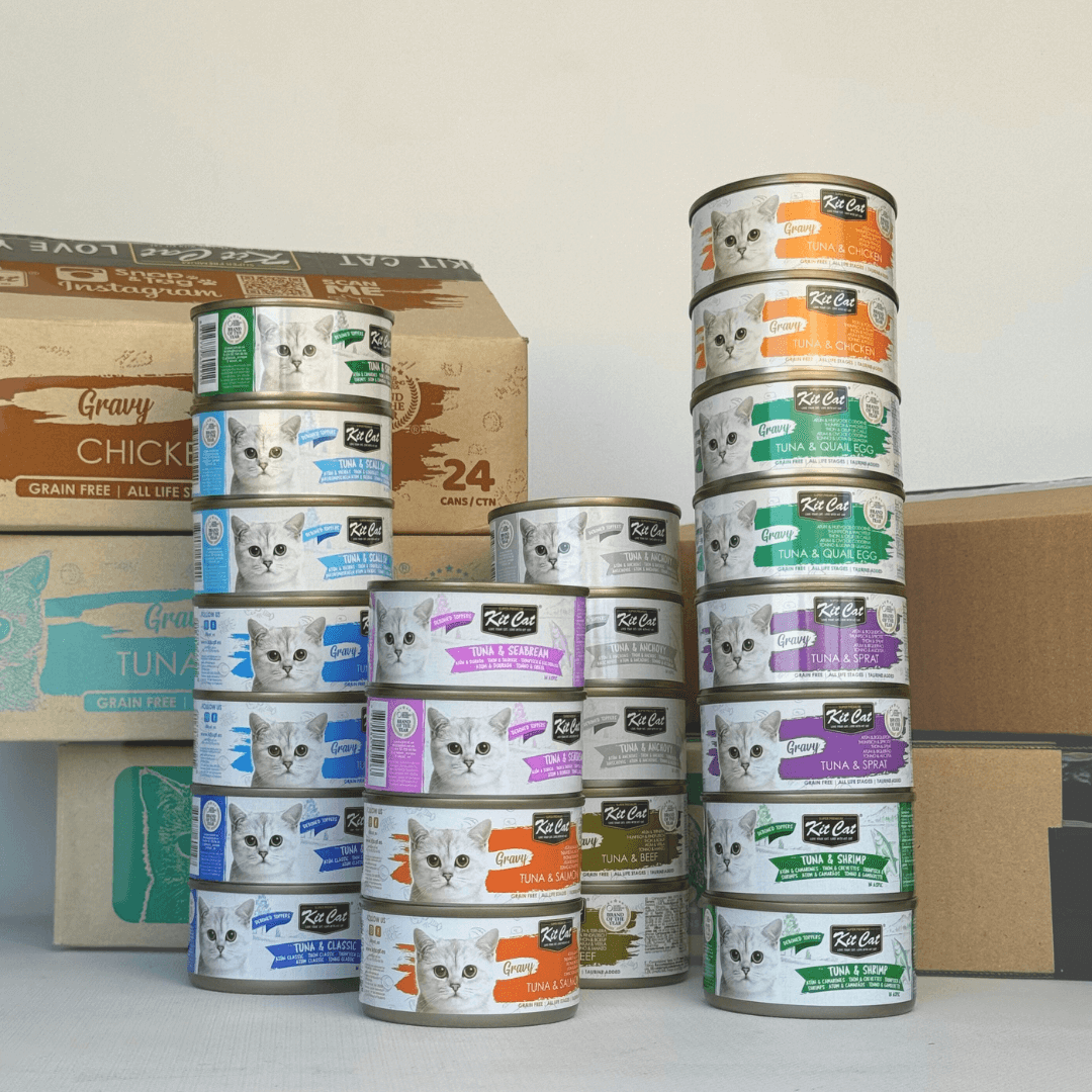 Pack de Comida H¨²meda - At¨²n (24 uds) Imagen principal del producto