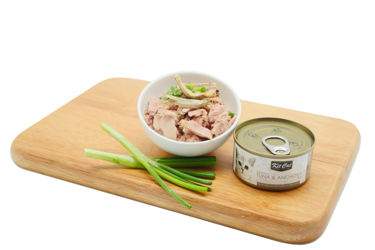 Atún con Anchoas 80g - Comida húmeda en Gelatina