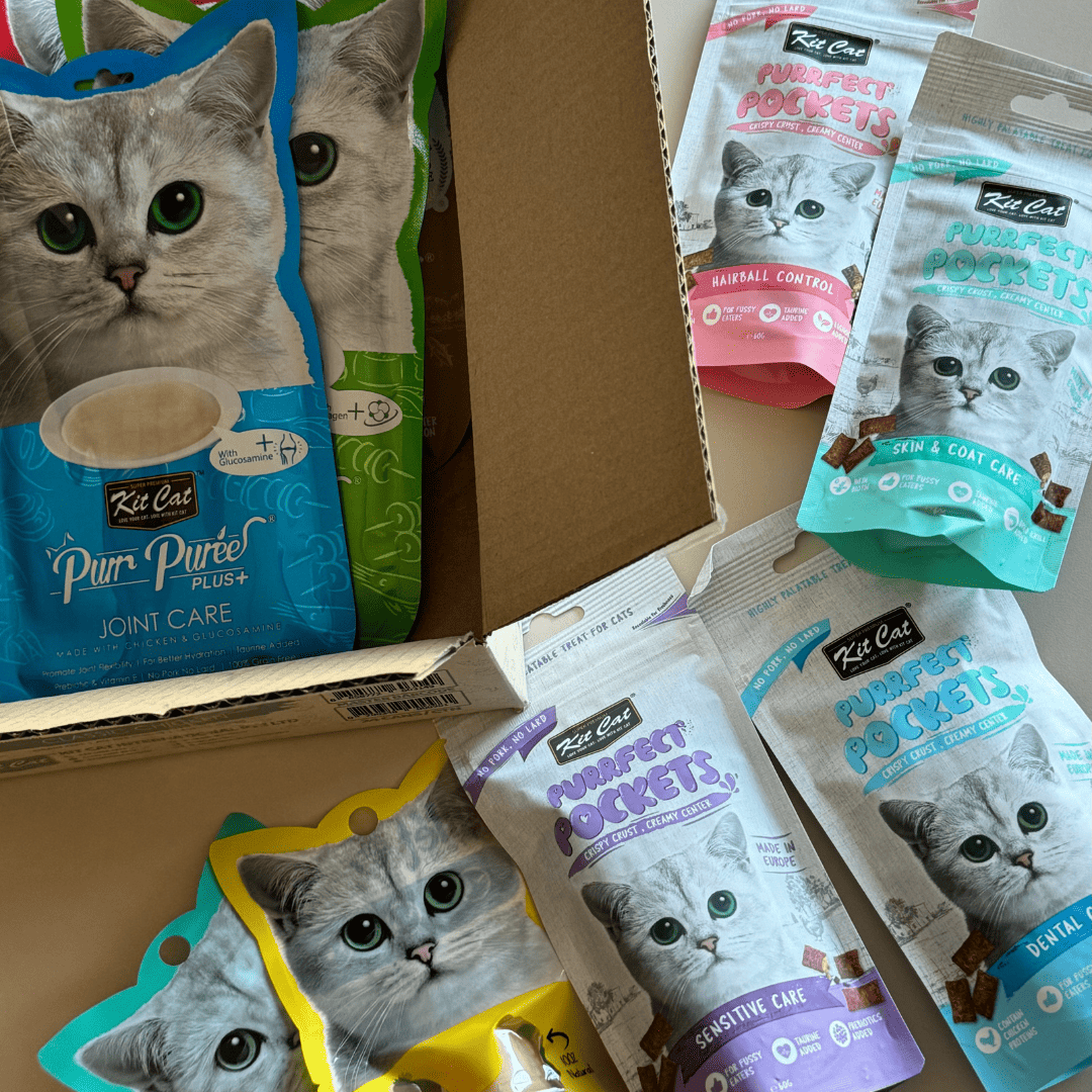 Snacks funcionales envasados Imagen secundaria del producto