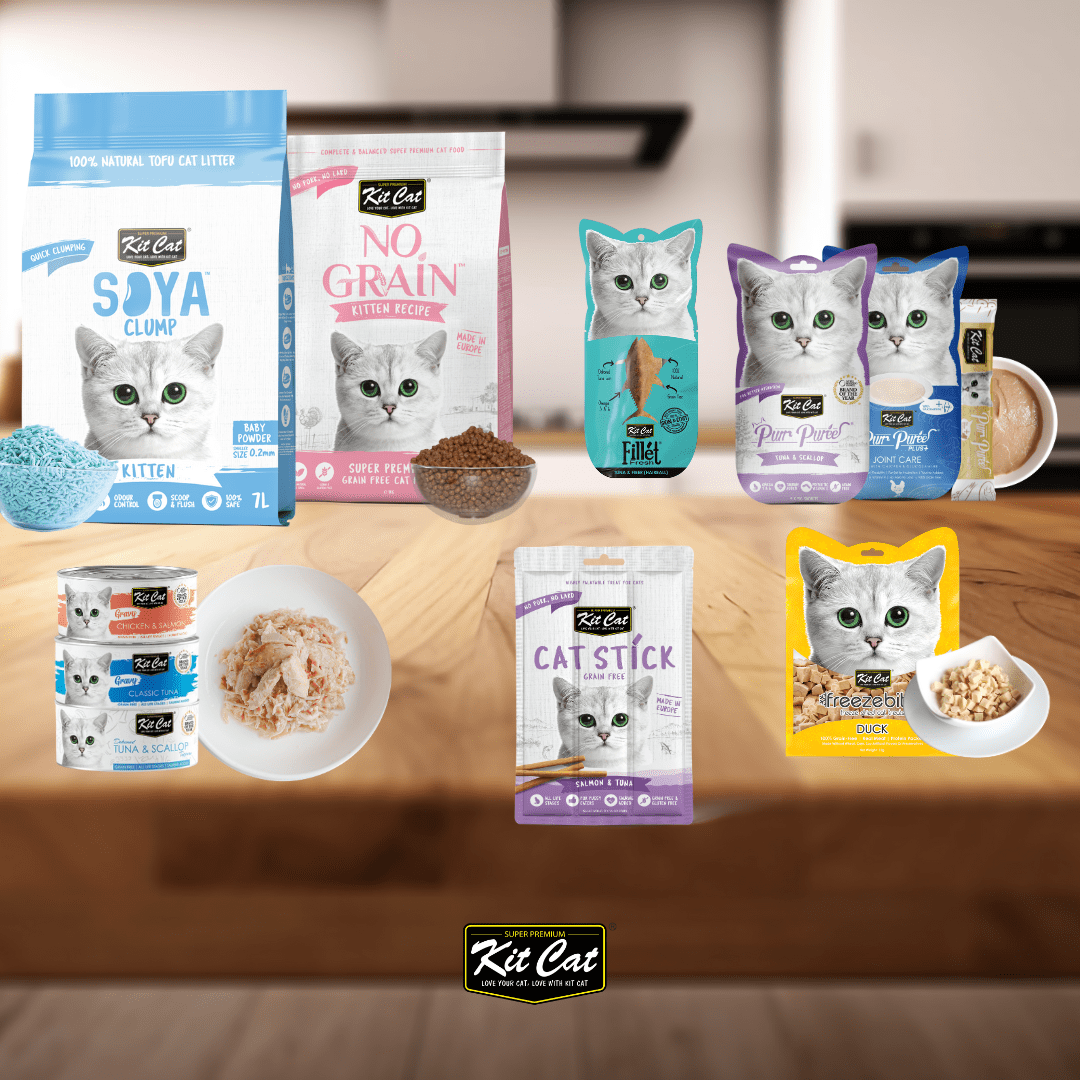 Pack Kitten Imagen principal del producto